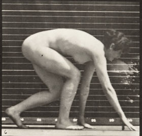 Plate 183 Walking on hands and feet — figure reference